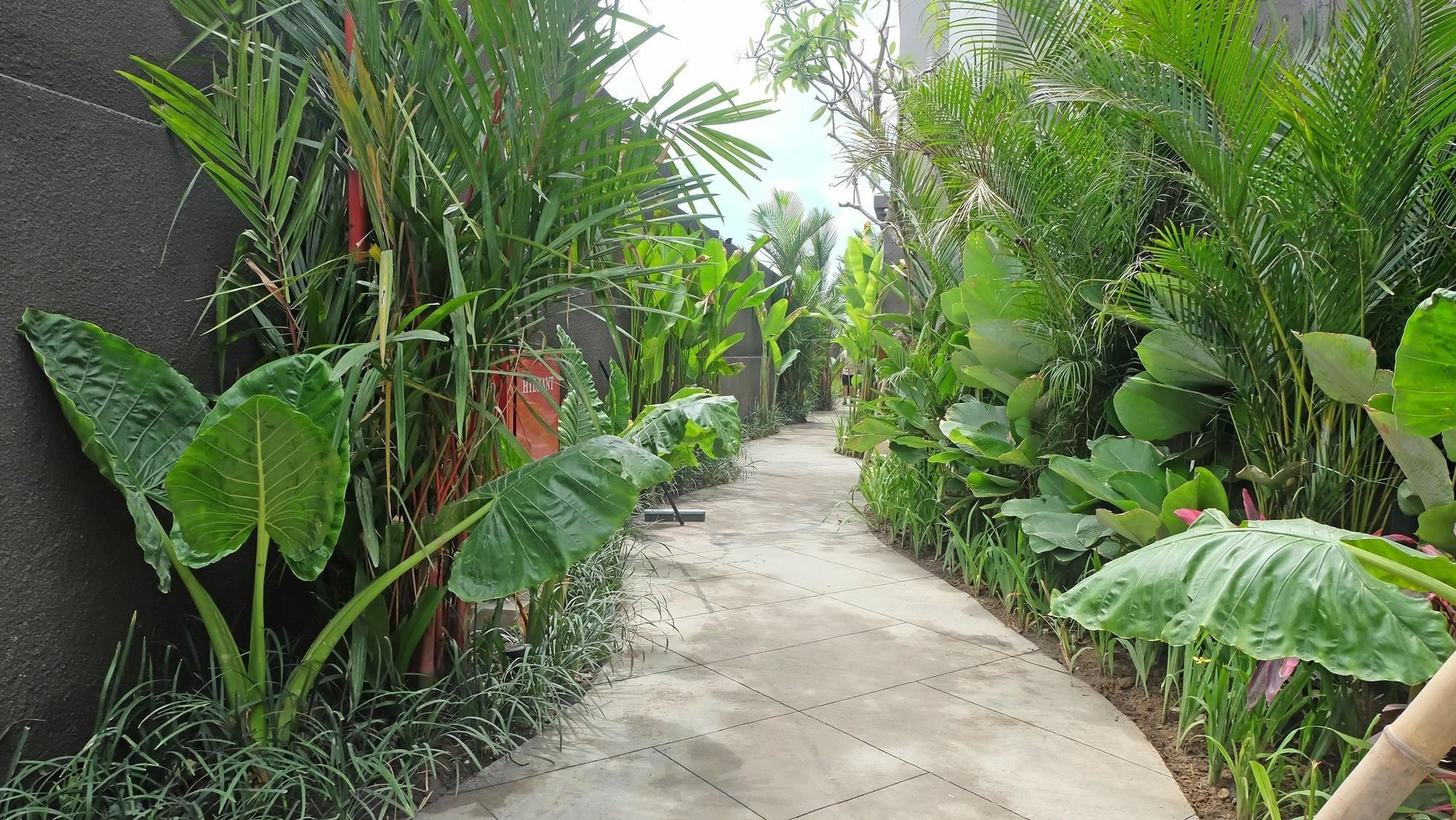 Sense Canggu Beach Hotel מראה חיצוני תמונה